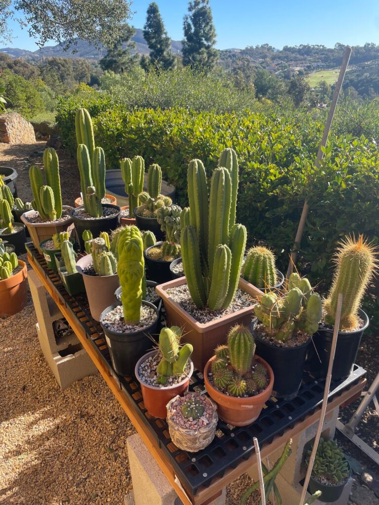 Organized the collection and made them some tables :) Organized the collection and made them some tables :)