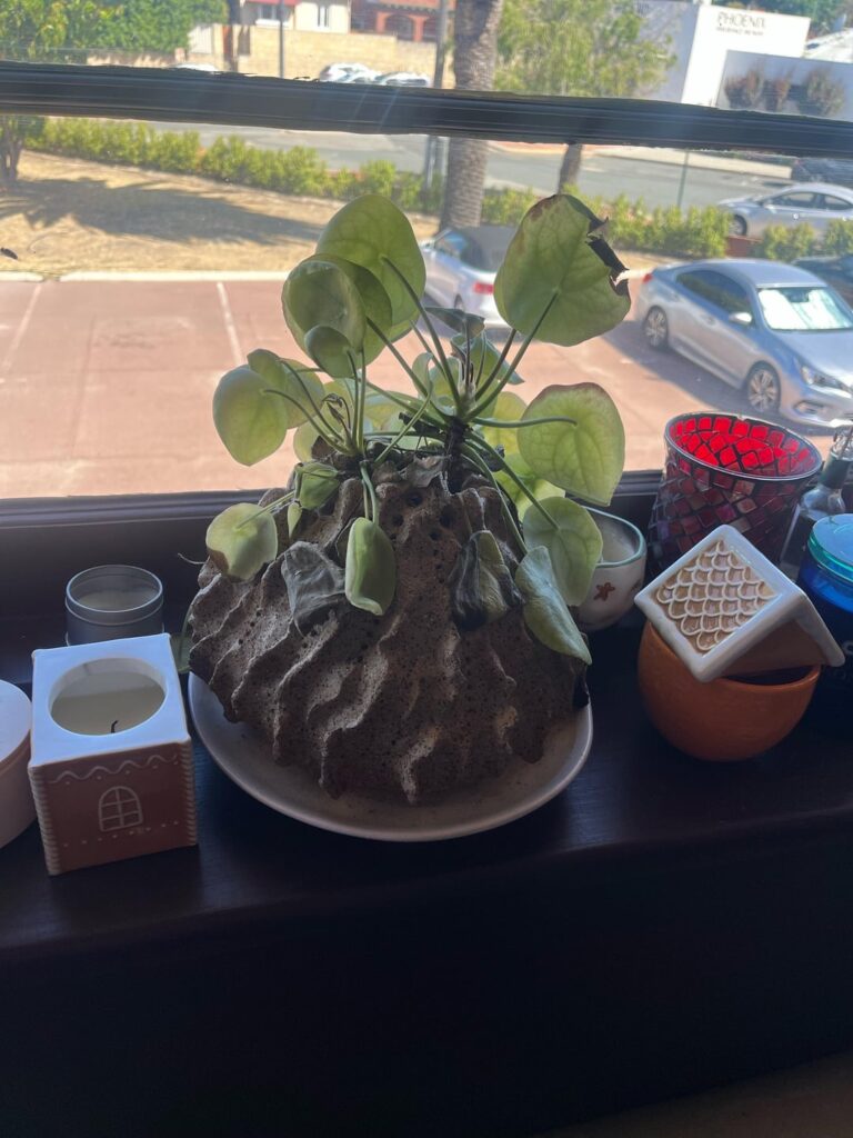 What’s up with her?