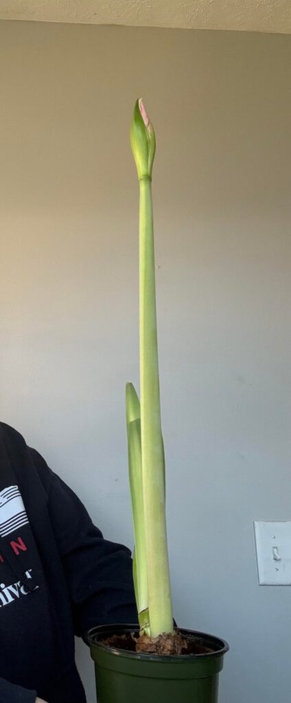 just wanted to say thanks!