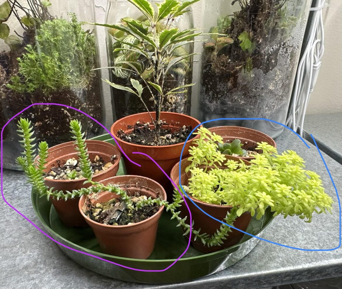 Anyone know what I got here?