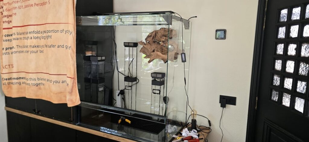 Paludarium build – finally finished
