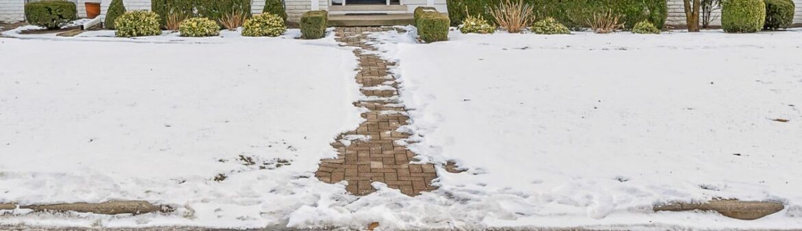 Salt Damage Prevention Tips? – MI Salt Damage Prevention Tips? - MI