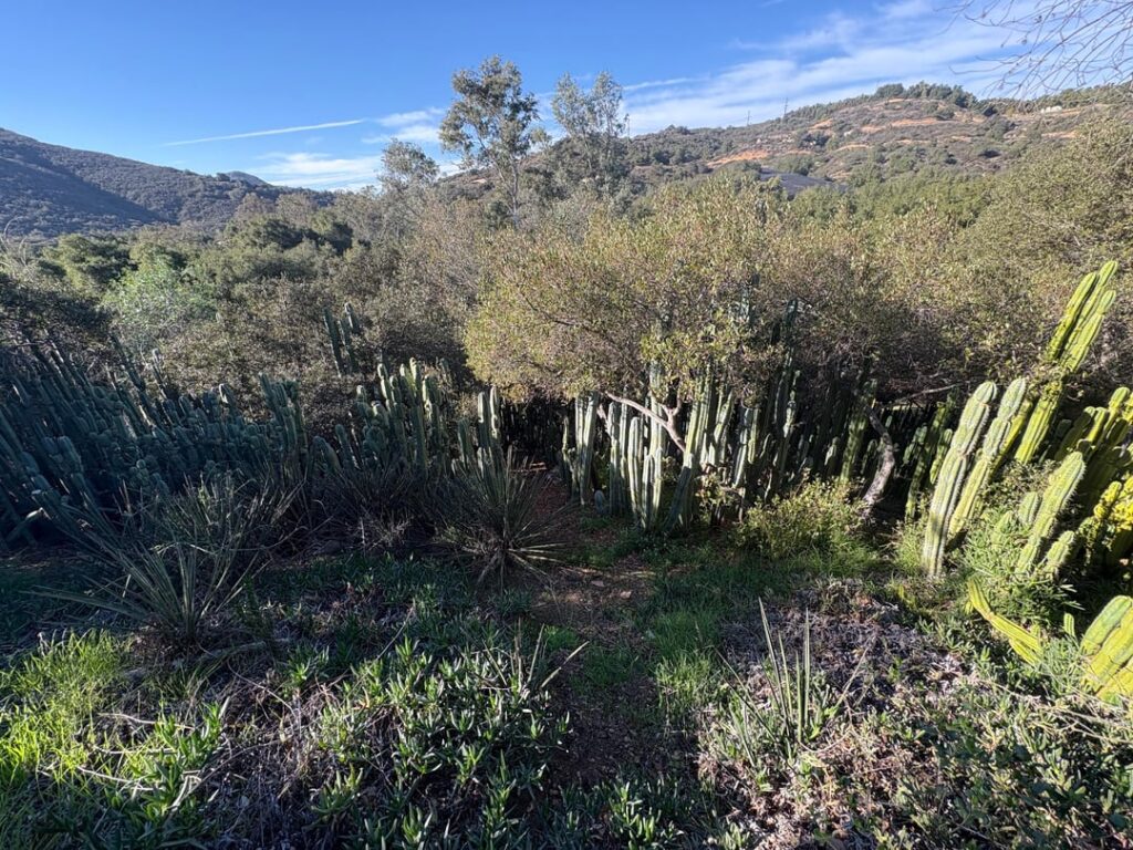 What’s down there?