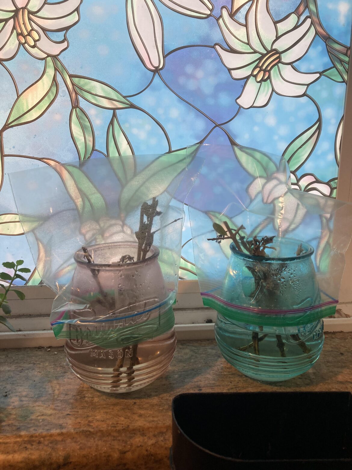 I desperately need help!