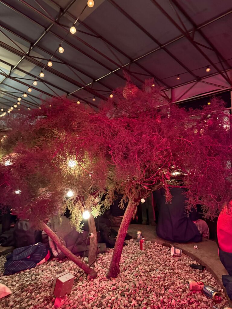 what tree is in this bar?