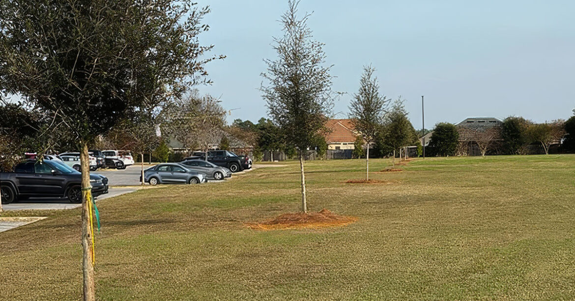 Escambia County Donates Trees To Kingsfield Elementary For Playground Shade : NorthEscambia.com