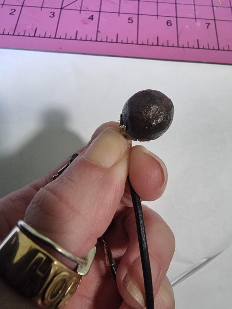 What is this seed (?)