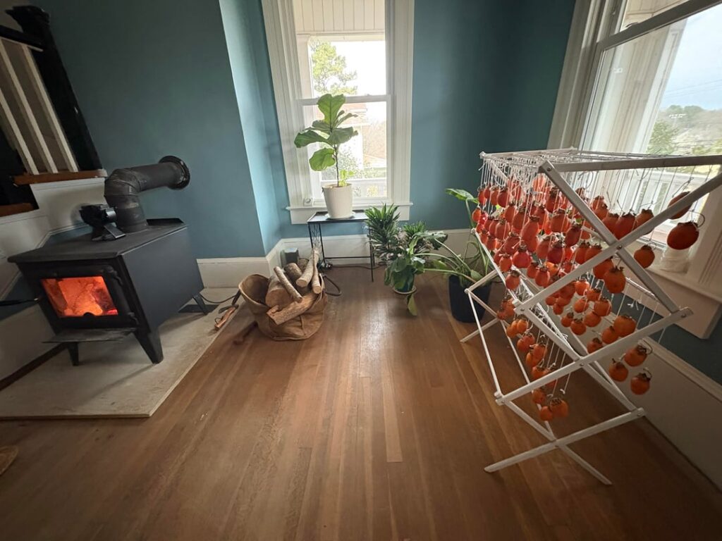 Life achievements unlocked: Renovating older home, wood stove on full blast, house plants growing, and curing Fuyu persimmons from friend’s land. Love life y’all.