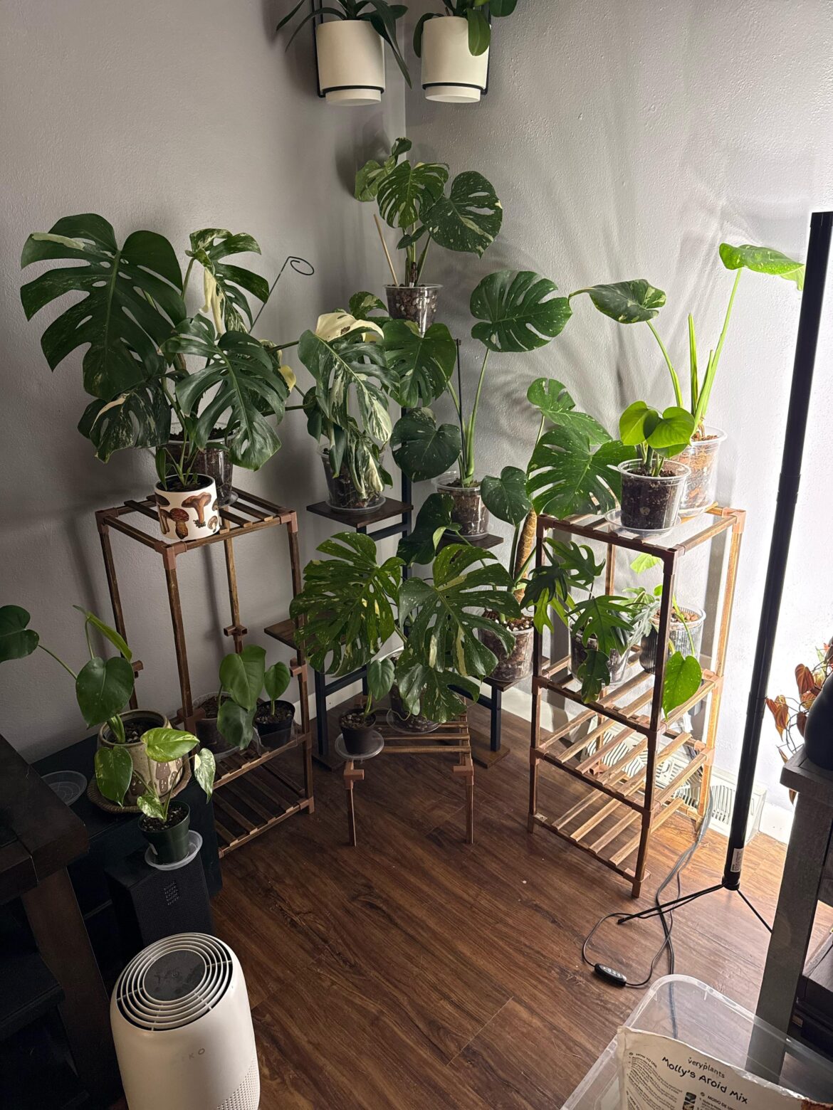 My thai wall ❤️ My thai wall ❤️