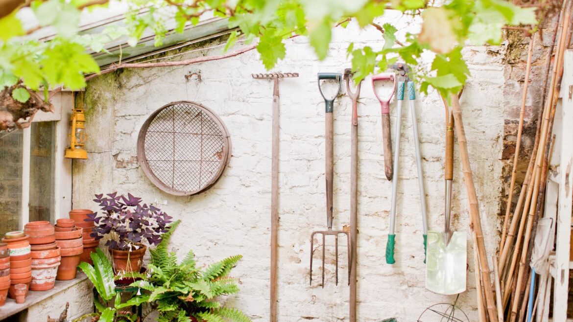 9 Tools Every Gardener Needs But Neglects to Buy Garden tools in a greenhouse hanging on the wall