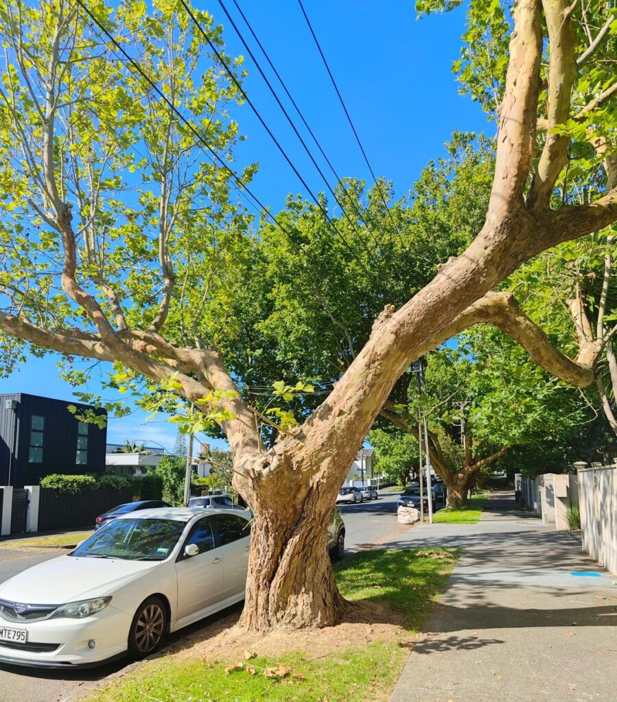 Not sure I'd park there, see second image for why.