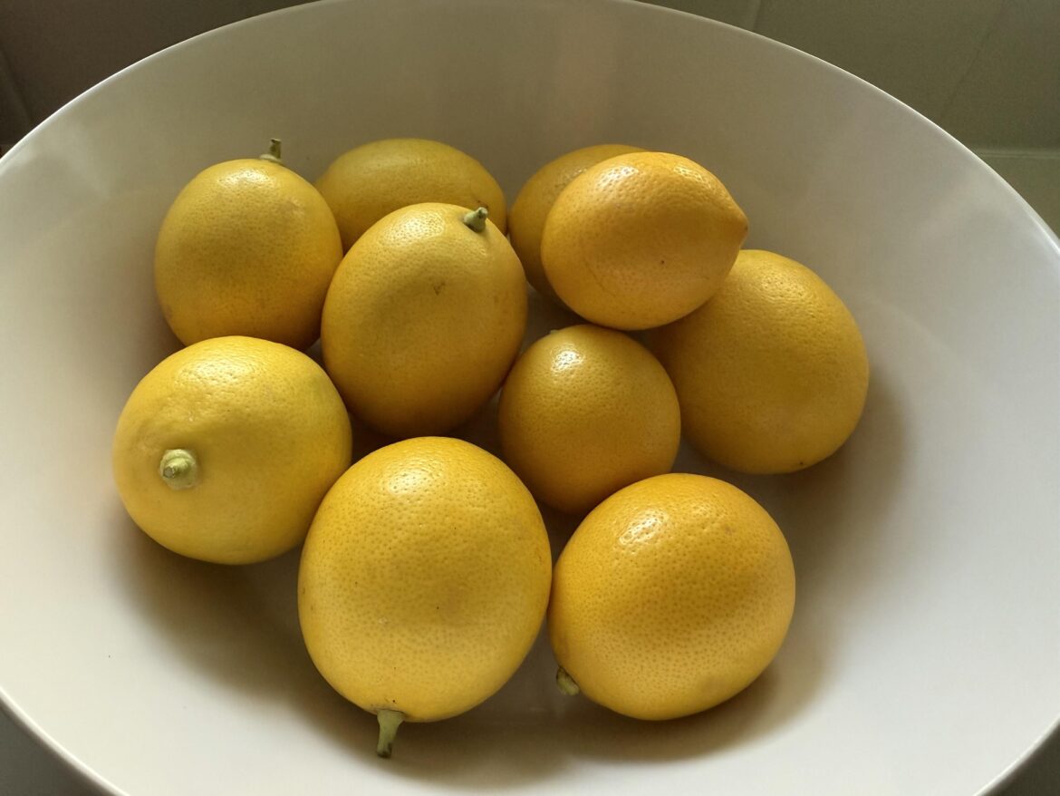 Finally harvested the Meyer lemons