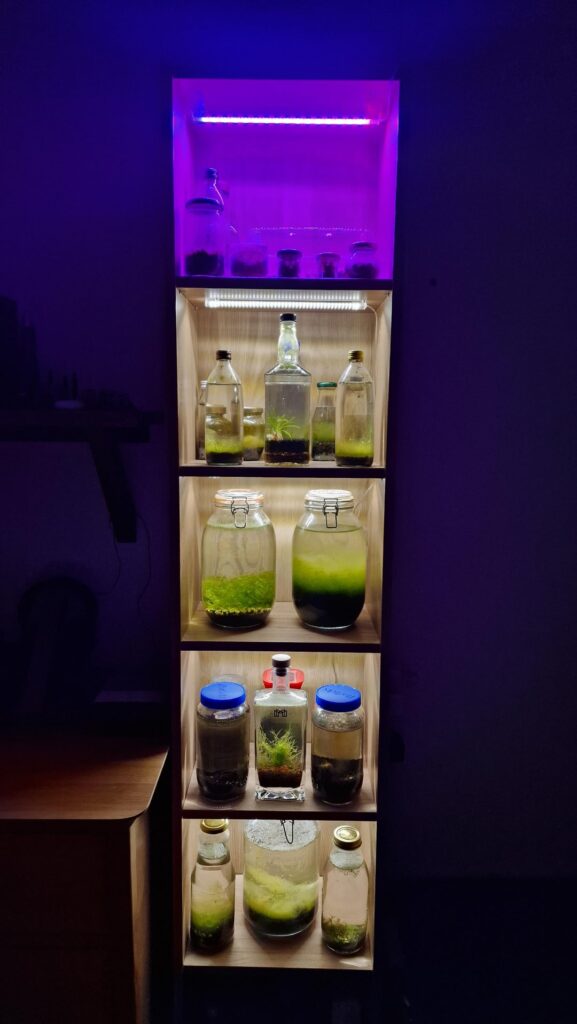 Ecosphere Cabinet