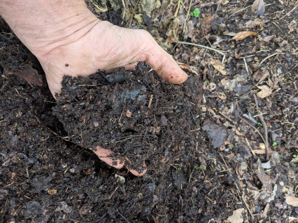 Leaves: A free and easy way to boost your garden’s soil Leaves: A free and easy way to boost your garden's soil