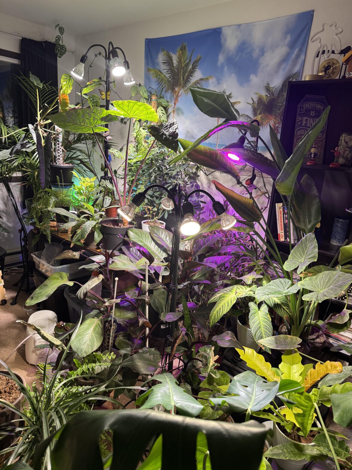 This used to be my home office. 😂