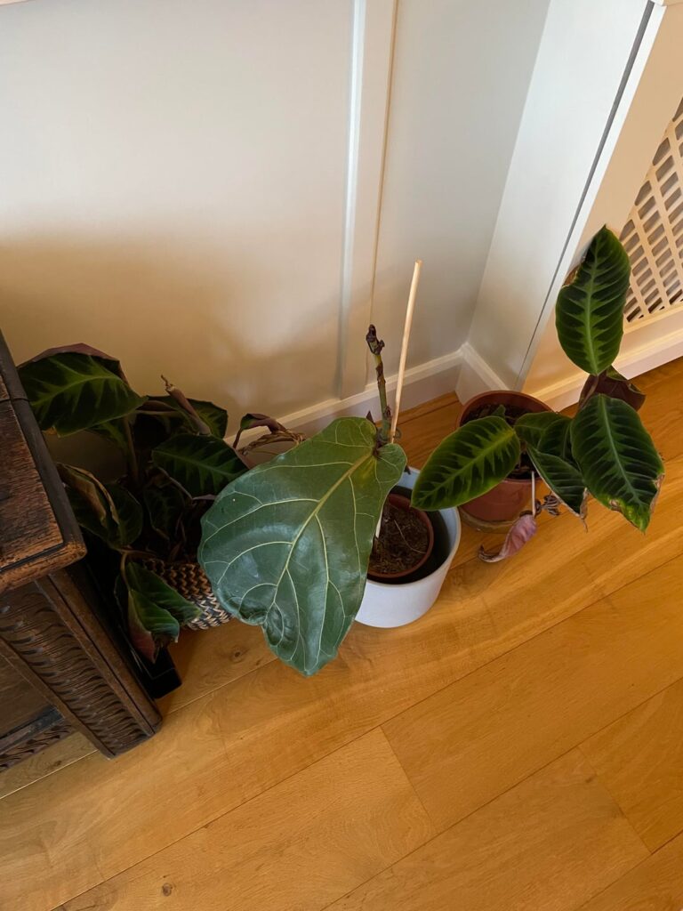 Droopers and droppers