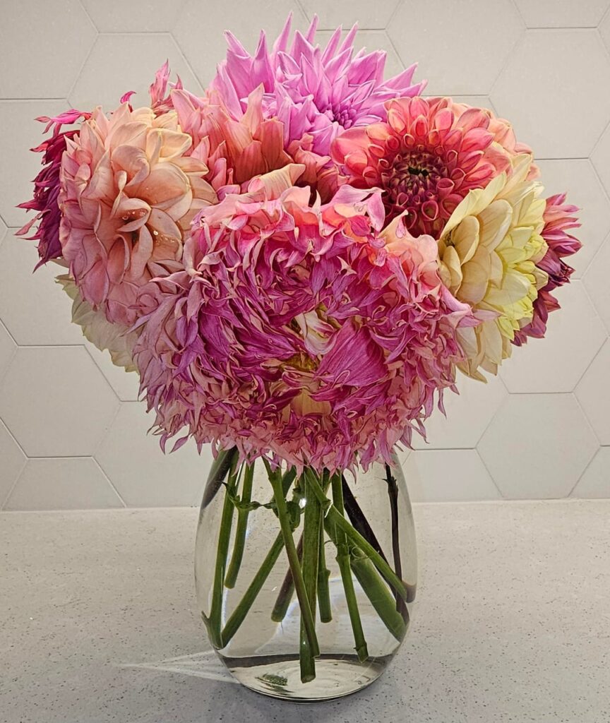 Last ones for the season 😢