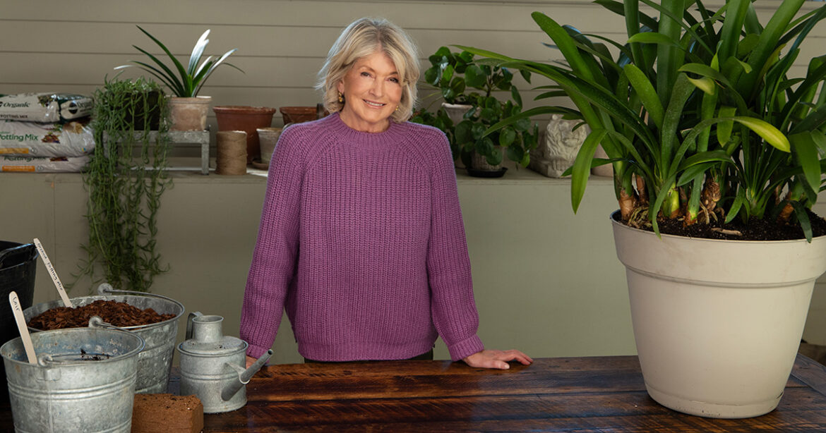 Martha Stewart's Anti-Aging Secret is Goals