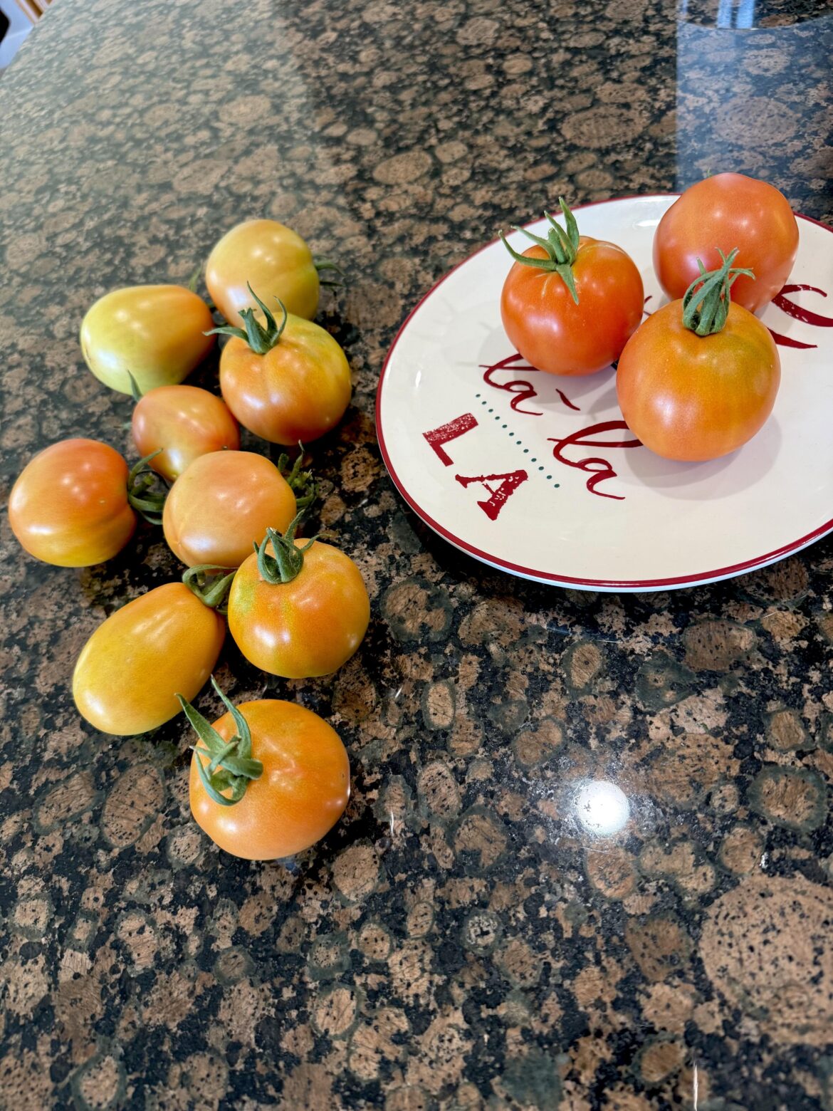 Someone said I was gonna have Christmas tomatoes so they deserve a Christmas plate 🍅🎄