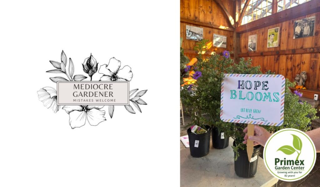 Glenside’s The Mediocre Gardener | December Rest & Garden Planning (supported by Primex Garden Center of Glenside)