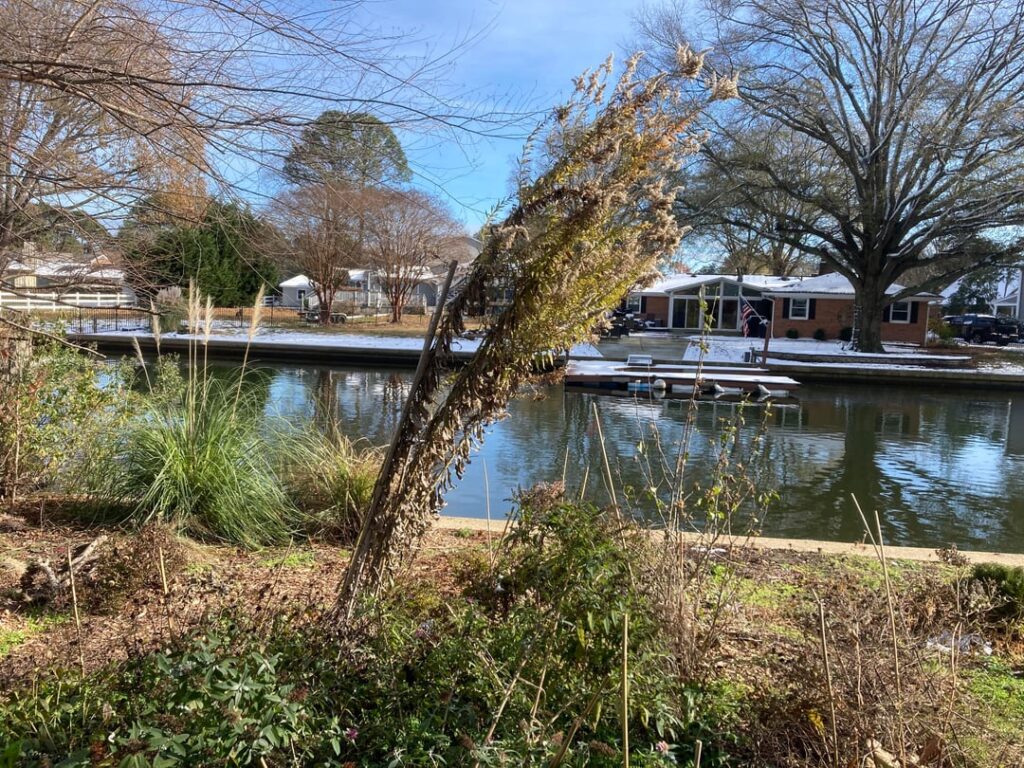 Dumb noob question (SE VA, Zone 8a)