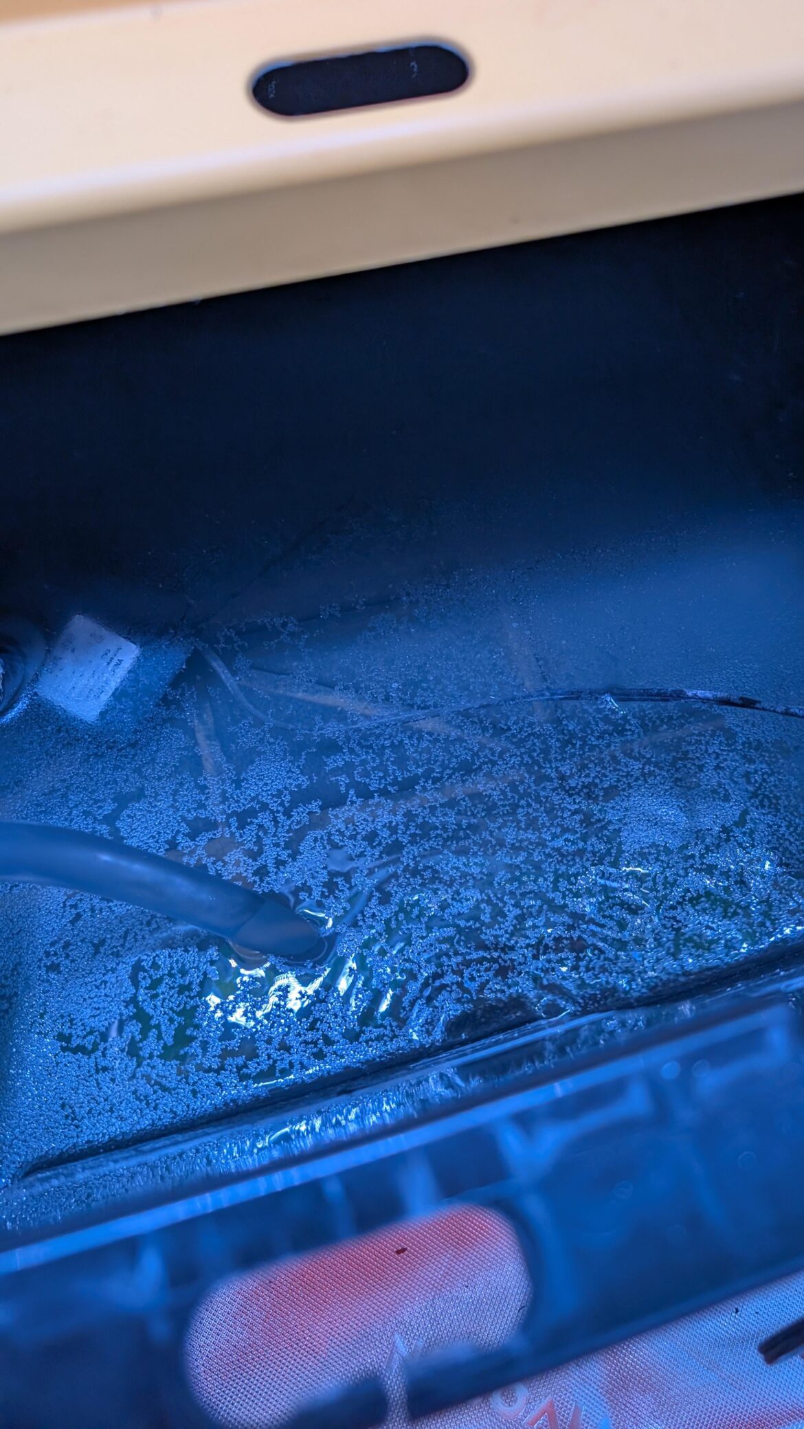 What's the scum on the top from?