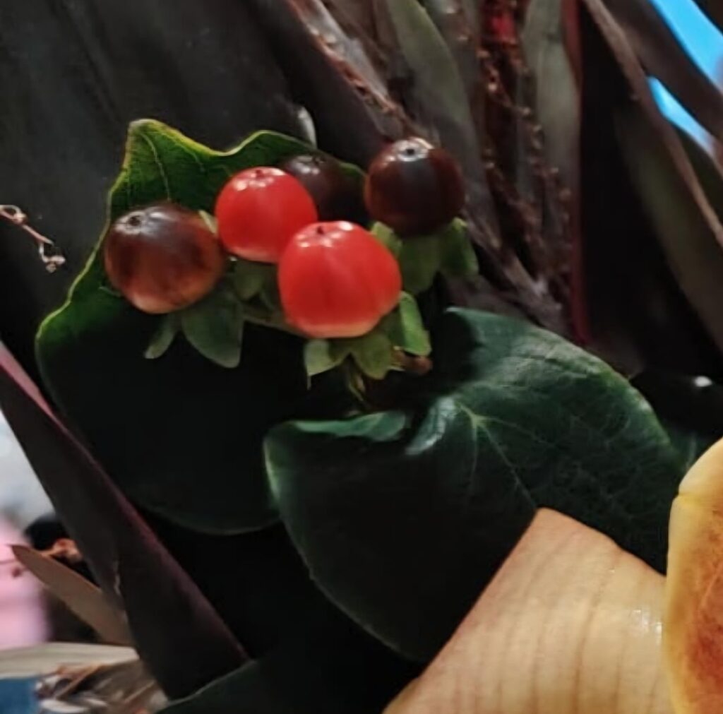 Berries from flower arrangement started growing leaves?