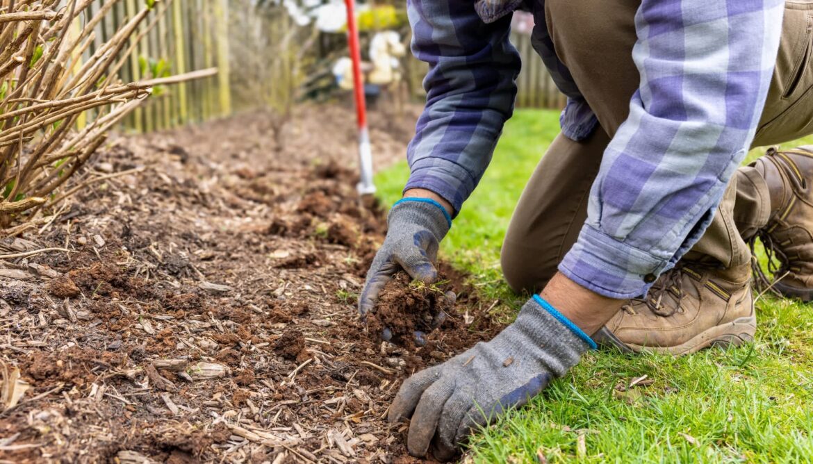Homeowner warned after sharing photo of dangerous backyard plant: ‘The worst’ This island gardener quickly found out how much Redditors hate the invasive mother of millions' plant.