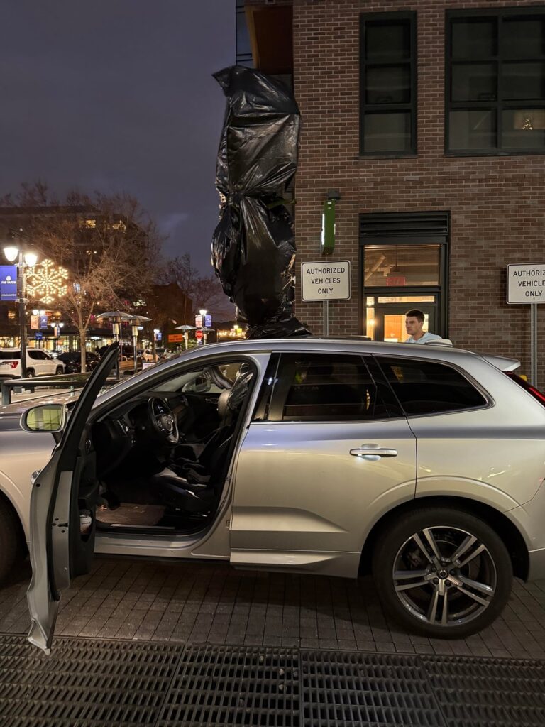 Will an 11’ Fiddle Leaf Fit in a Volvo?