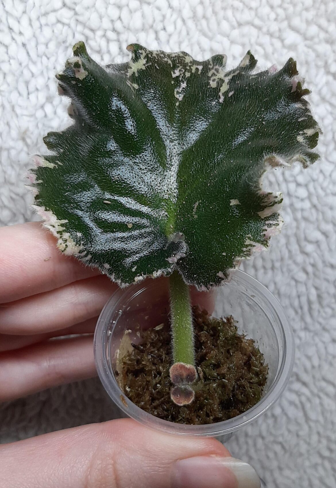 Pretty little baby 💕