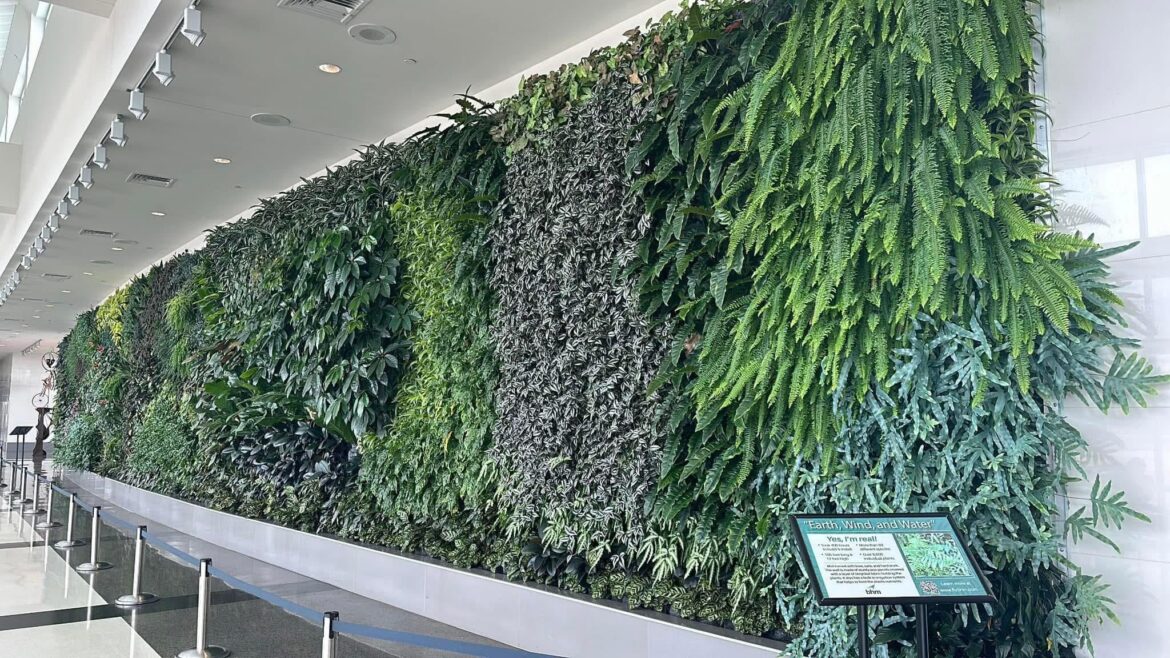 Spotted a living wall at the Birmingham AL airport 😍💚
