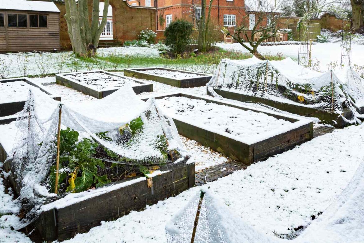 How to Protect Your Garden From Heavy Snowfall