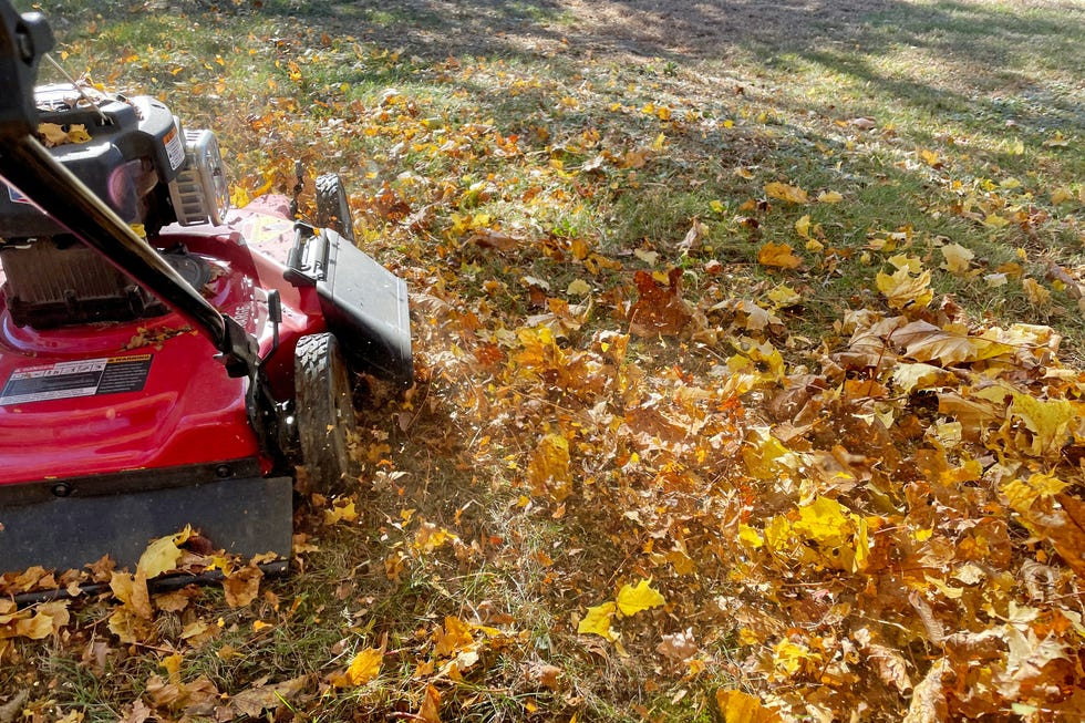 how to winterize your garden mowing leaves
