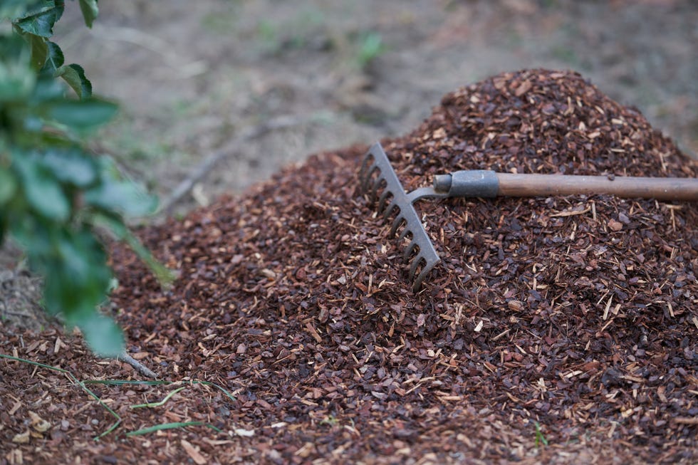how to winterize your garden mulching
