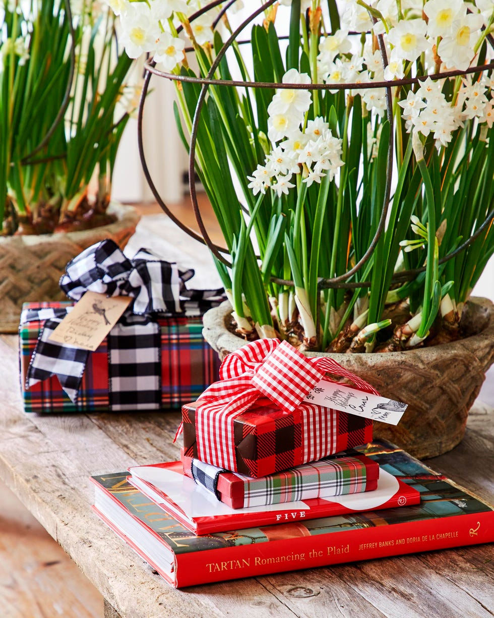 potted paperwhites and small plaid wrapped packages