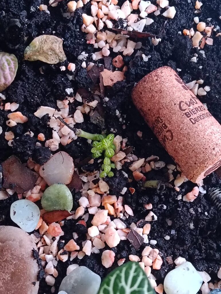 My babies keep growing!