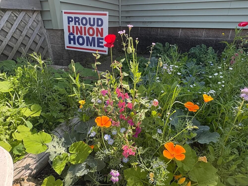 One gardener shared a photo of their chaos garden, sparking a discussion on lawns and native plants.