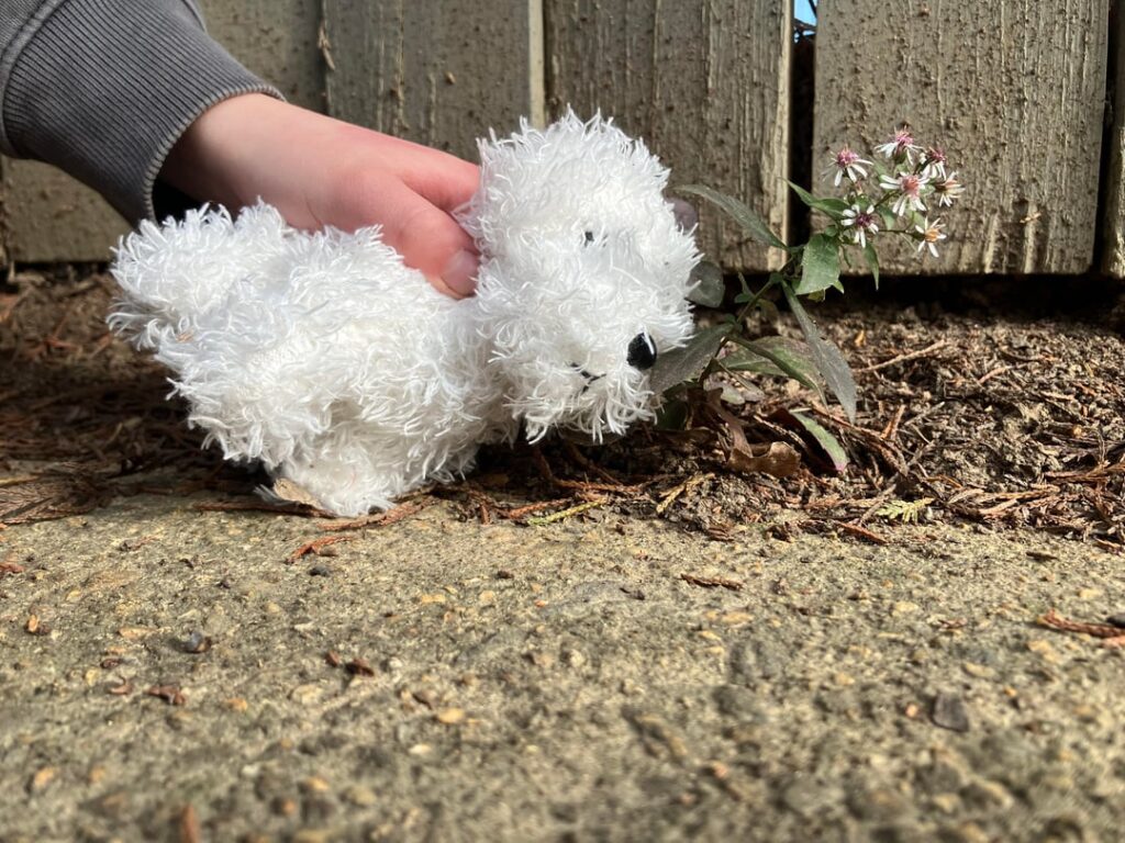 Definitely not chamomile (right?)