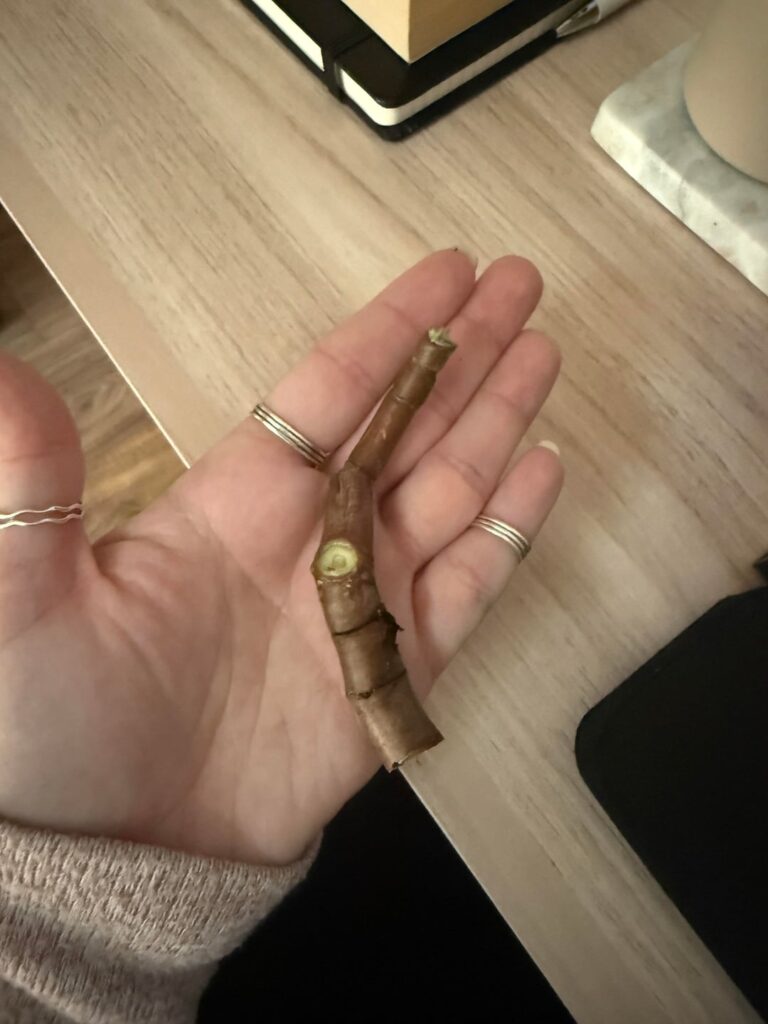 Advice on what I'm doing wrong