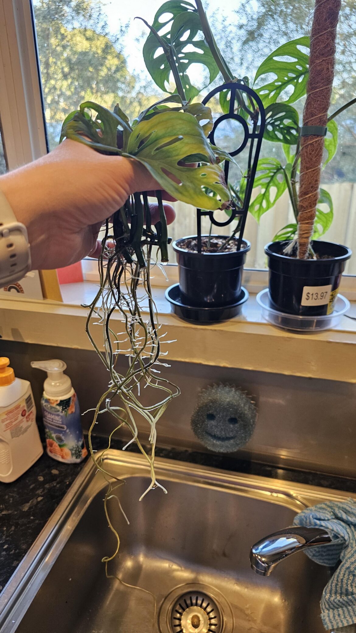 Propagation procrastination...