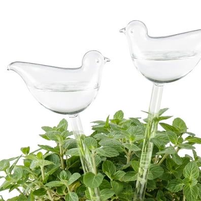 Isuesee 2 Pack Plant Self Watering Globes Glass Water Bulbs for Planter Insert