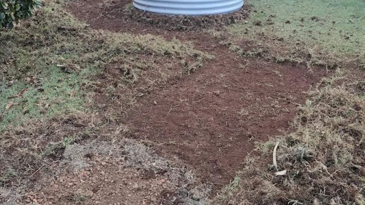 Homeowner shares jaw-dropping before-and-after photos of garden transformation: ‘This looks amazing’ One Redditor shared before-and-after photos of their yard, which they transformed from a monoculture lawn into a native garden.