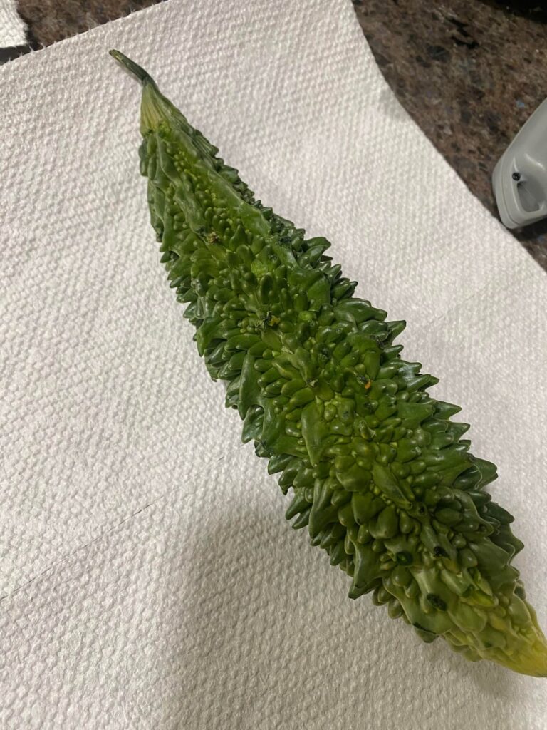 Found at a food bank drive in Southern California what is this?