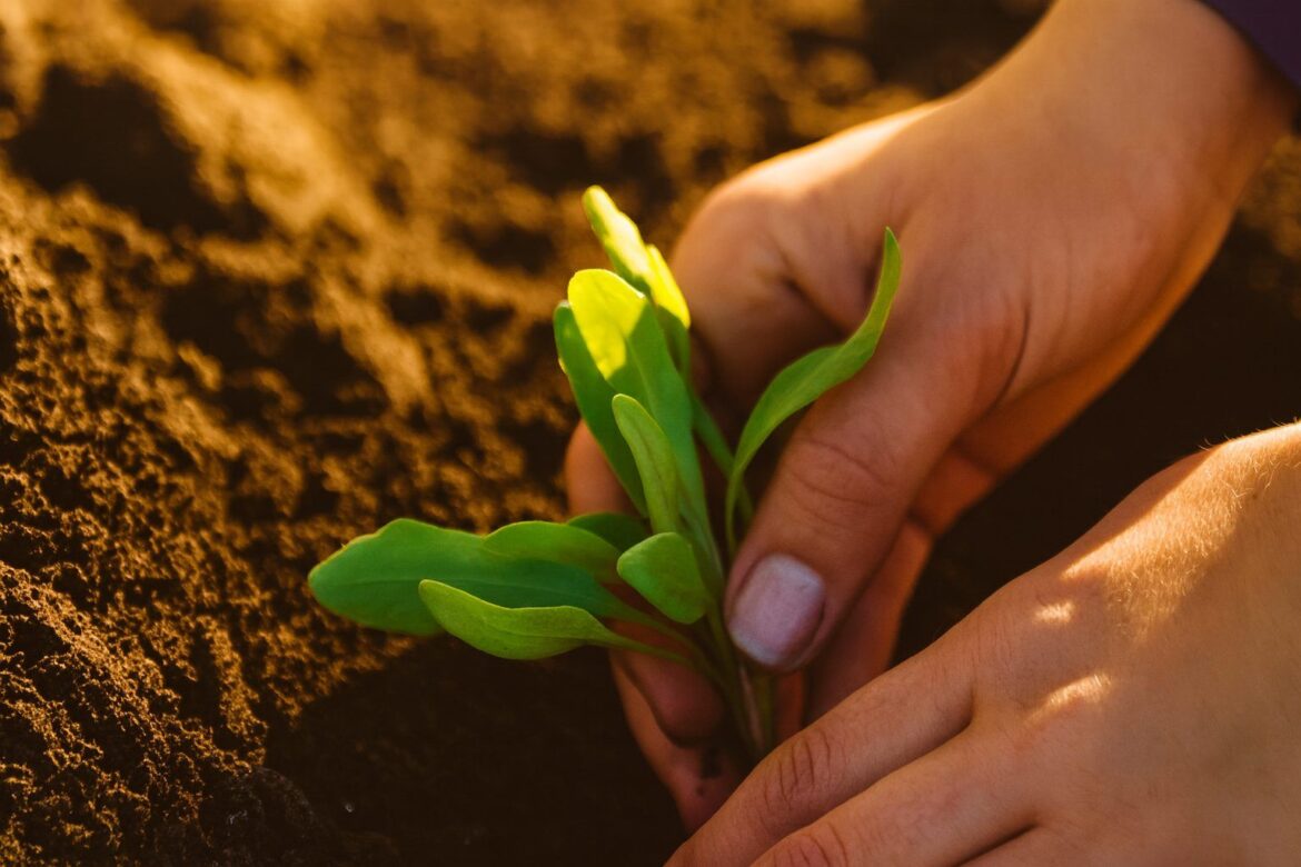 New ‘Home Orchard’ Guide and FOSS Pathways Science Curriculum Signal Research-Backed Shift in Gardens and Classrooms