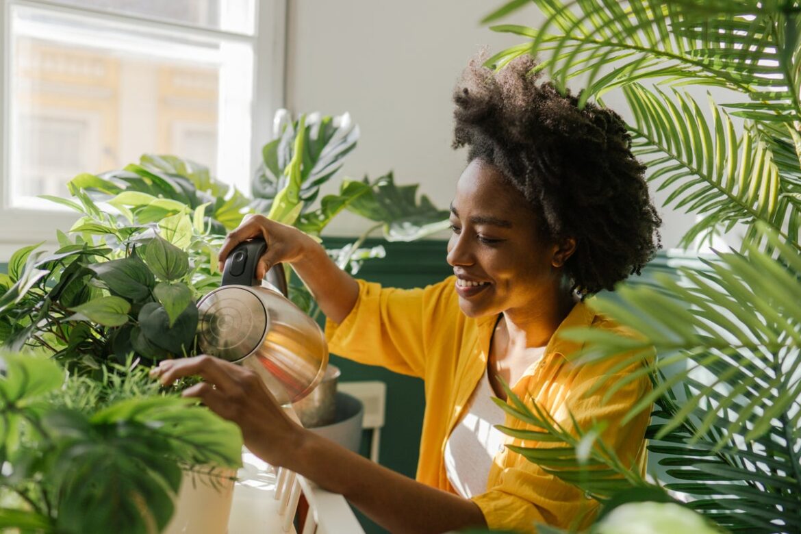 Gardening trends for next year suggest people will be putting their houseplants outside in the garden in 2026 Gardening trends for next year suggest people will be putting their houseplants outside in the garden in 2026