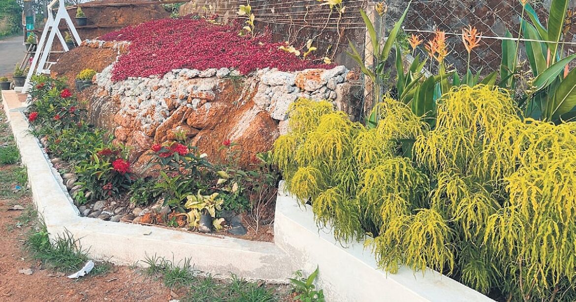 Visitors make beeline for teashop owner’s roadside garden