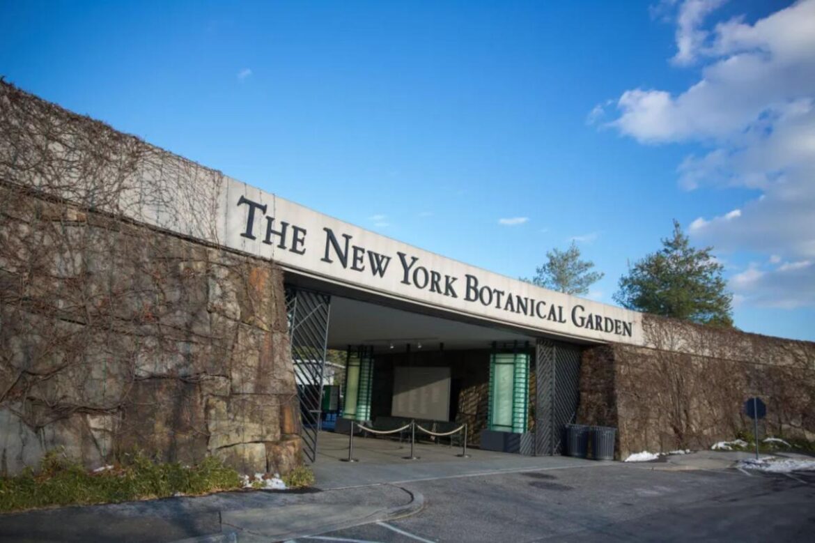 NYC woman, 72, found dead on sidewalk outside New York Botanical Garden NYC woman, 72, found dead on sidewalk outside New York Botanical Garden