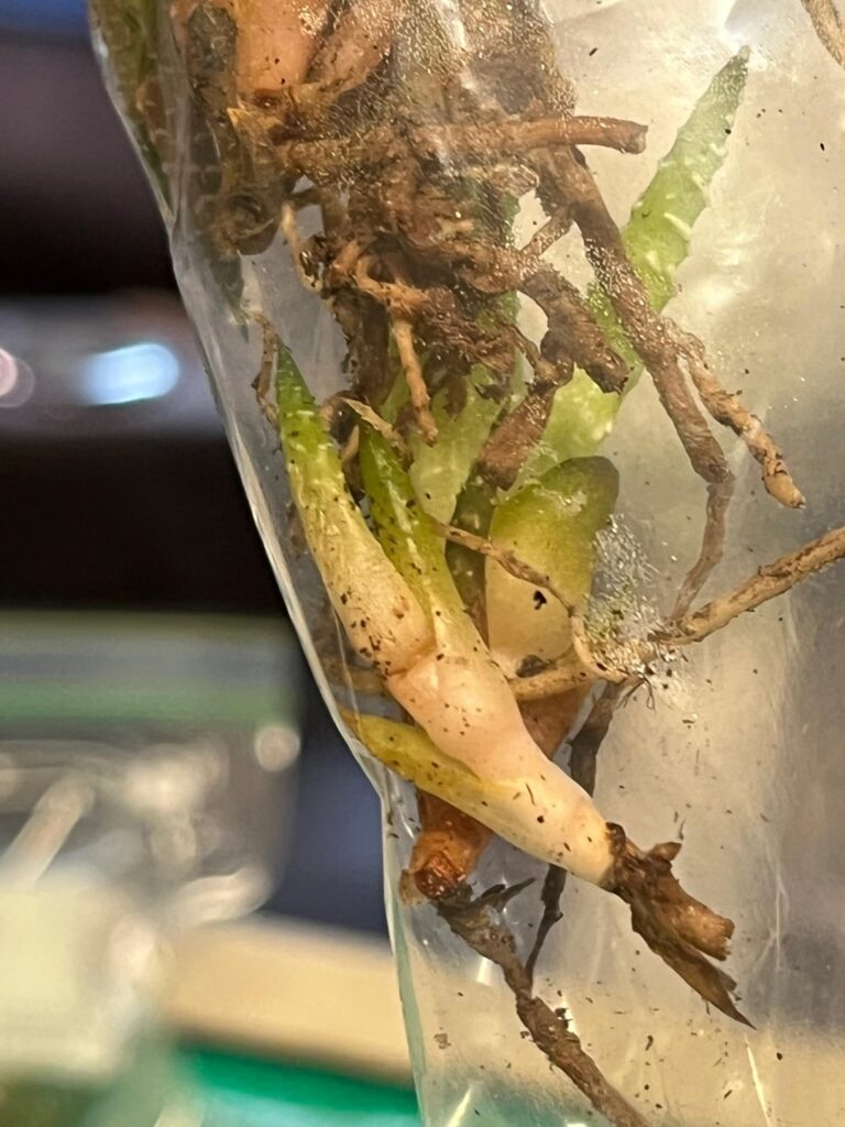 I just need a bit of advice please?