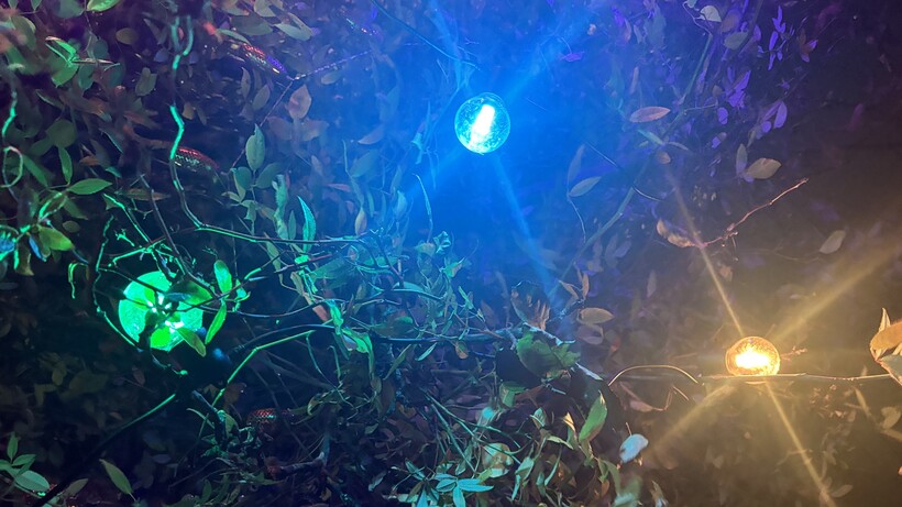 Philips Hue Festavia Globe Outdoor String Lights Review lights lit up