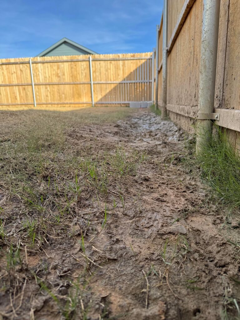 Need help with Texas lawn
